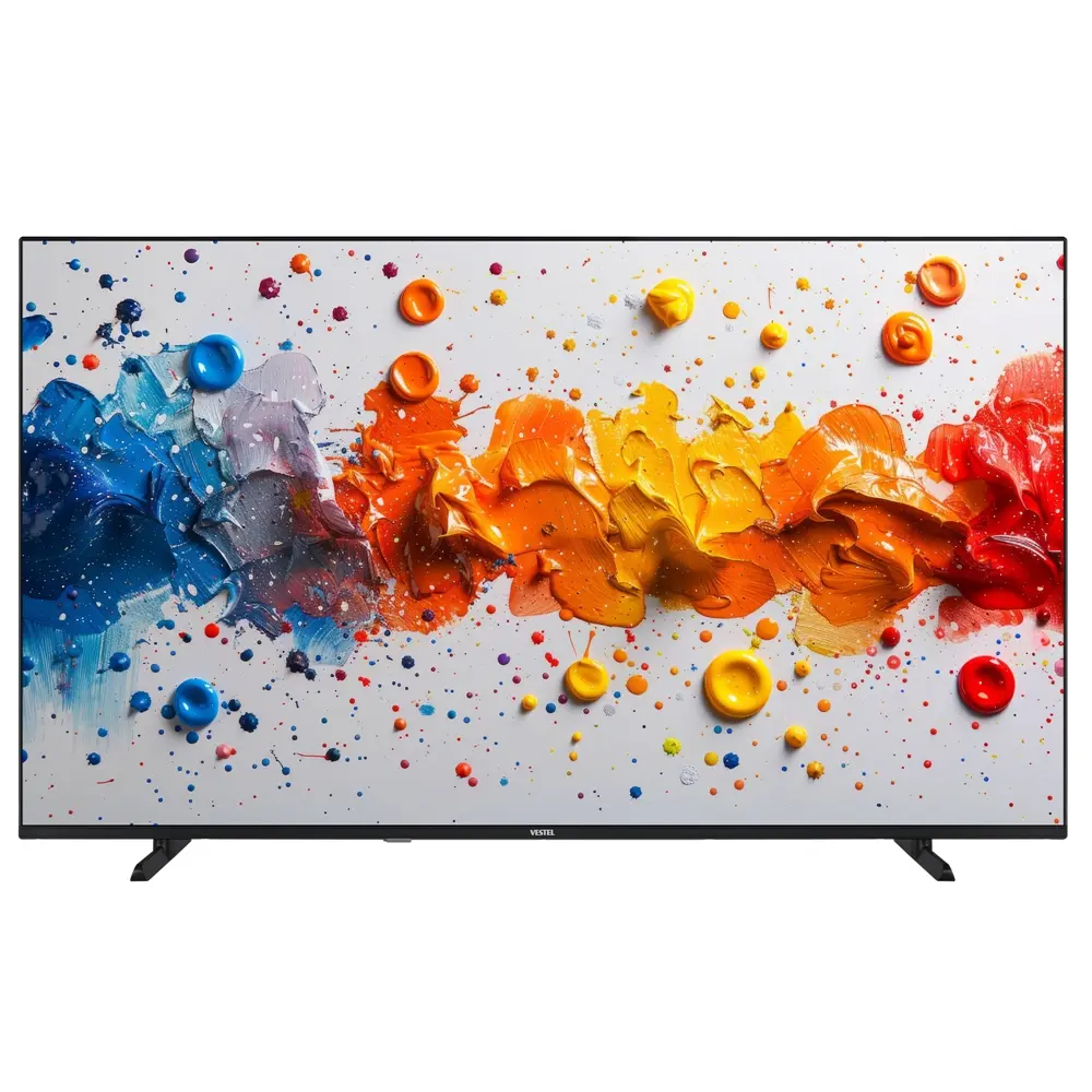 TELEVISION 55 VESTEL